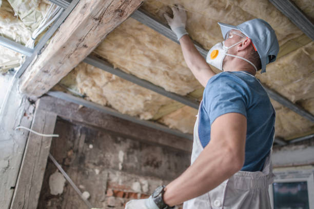 Best Insulation Replacement Services  in Allison Rk, PA