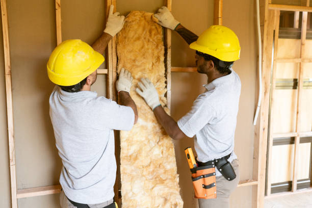 Best Best Insulation Companies  in Allison Rk, PA