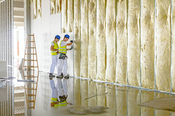 Best Insulation Contractor Near Me  in Allison Rk, PA